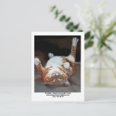 ガーフェルダガーフェルダオリジナルアートAMトレズウ… ポストカード (スタンド正面)