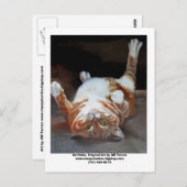 ガーフェルダガーフェルダオリジナルアートAMトレズウ… ポストカード (正面/裏面)