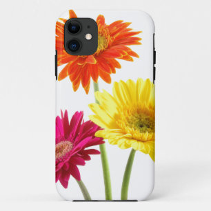 ガーベラのデイジーの歓喜 iPhone 11 ケース