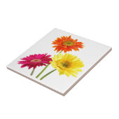 ガーベラのデイジー タイル (側面)