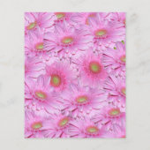 ガーベラの花のピンク色の密な房 チラシ (裏面)