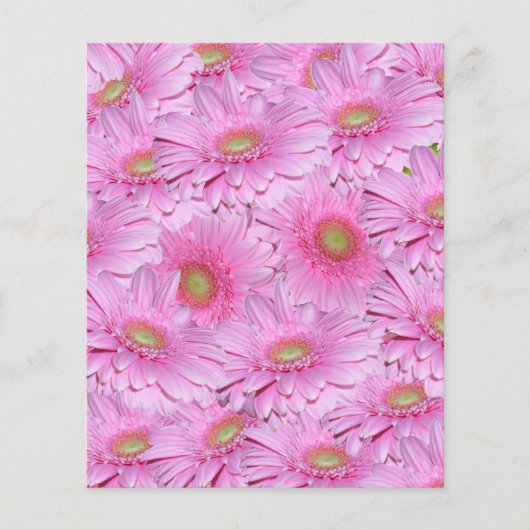 ガーベラの花のピンク色の密な房 チラシ (正面)