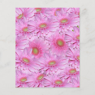 ガーベラの花のピンク色の密な房 チラシ