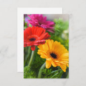 ガーベラの花 サンキューカード (正面/裏面)