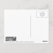 ガーベラの花 ポストカード (裏面)