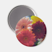 ガーベラカラフルデイジー花冷蔵庫磁石 マグネット (正面/裏面)