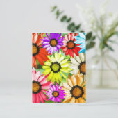 ガーベラカラフル花 ポストカード (スタンド正面)