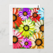 ガーベラカラフル花 ポストカード (正面/裏面)