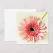 ガーベラダイシー 招待状 (正面/裏面)