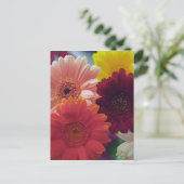 ガーベラデイジーフラワーフォトアートポストカード ポストカード (スタンド正面)