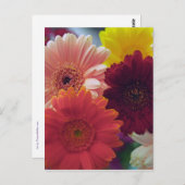 ガーベラデイジーフラワーフォトアートポストカード ポストカード (正面/裏面)