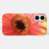 ガーベラデイジーフラワーiPhone 5ケース Case-Mate iPhoneケース (裏面 (横))