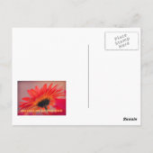 ガーベラデイジー写真はがき ポストカード (裏面)