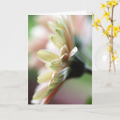 ガーベラデイジー誕生日カード カード (黄色い花)