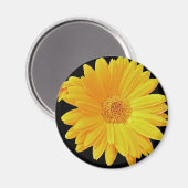 ガーベラデイジー（ガーベラ雑種） – 黄色 マグネット (正面/裏面)