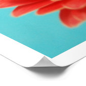 ガーベラデイジー ポスター (角)