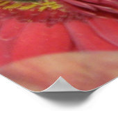 ガーベラデイジー ポスター (角)