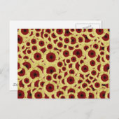 ガーベラデイジー ポストカード (正面/裏面)