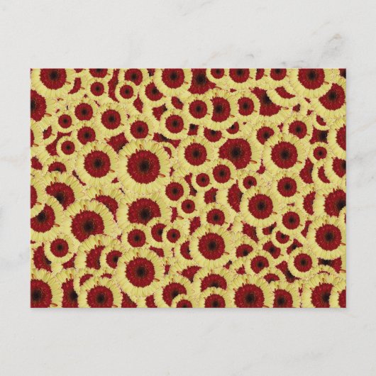 ガーベラデイジー ポストカード (正面)