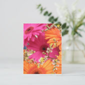 ガーベラデイジー ポストカード (スタンド正面)