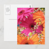 ガーベラデイジー ポストカード (正面/裏面)