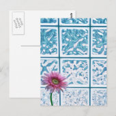 ガーベラデイジー ポストカード (正面/裏面)