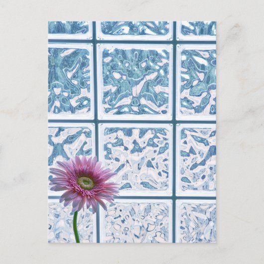 ガーベラデイジー ポストカード (正面)