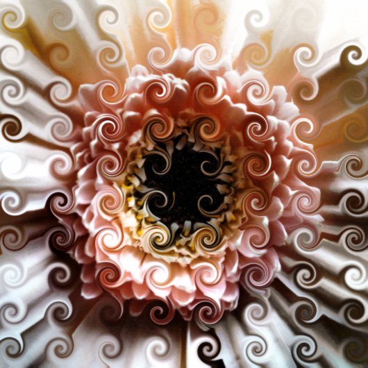 ガーベラ花 カード