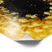 ガーベラ花 フォトプリント            (角)