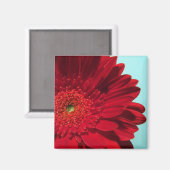 ガーベラ マグネット (正面/裏面)