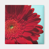 ガーベラ マグネット (正面)