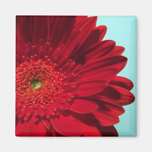 ガーベラ マグネット (正面)