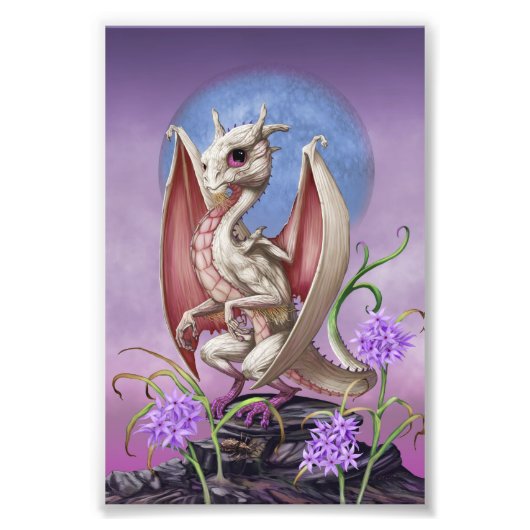 ガーリックドラゴン4x6プリント フォトプリント (正面)