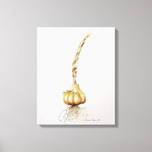 ガーリック1998 キャンバスプリント (正面)