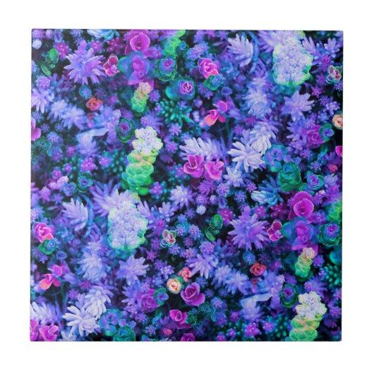 ガーリーなピンクおよび紫色の花のSucculents タイル (正面)