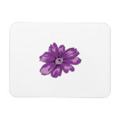 ガーリースタイル、ライトナス、晒し杉 マグネット (横)