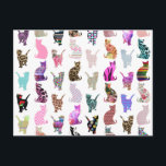 ガーリー猫のお洒落アステカフローラストライプパターン ポストカード<br><div class="desc">猫ガーリーお洒落のフローラストライプパターン。ピンク、ブルーガーリーー、レッド、イエロー、ティール（緑がかった色）ブルー、ブラック、パープル、グレー、ホワイト、ターコイズブルー、ネイビーブルーパステルの色お洒落、バラカラフルの多くのレトロデザインと、ライリー、チューリップ、ヒマワリ、蓮や他の美しい花と違う、かわいい猫と動物とのヴィンテージとレトロな花柄のデザイン名門私立校風の。多くのパター違うン：フローラ、トライバルアステック、水玉模様、フローラダマスク、ピンクのハート、ペイズリー、ヒョウ柄、キュートなシェブロン柄のゼブラのストライプ彼女のための完璧な贈り物、猫、動物やペットの恋人、花や自然好き素晴らしは、トレンダニスタ、妹とファッショニスタ。背景色は完全にカスタマイズ可能。</div>