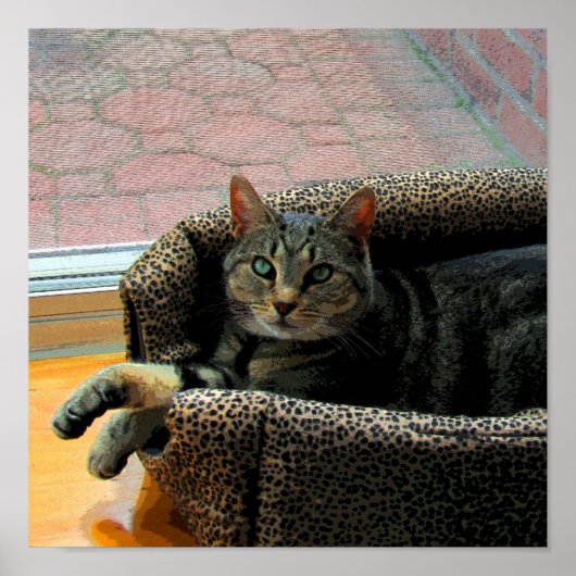 ガールかわいらしインディゴCB ポスター (正面)