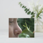 ガールとマンティスreligiosa ポストカード (スタンド正面)