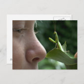 ガールとマンティスreligiosa ポストカード (正面/裏面)