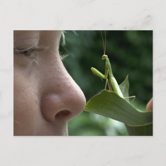 ガールとマンティスreligiosa ポストカード (正面)