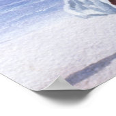 ガールオンビーチ1995 ポスター (角)