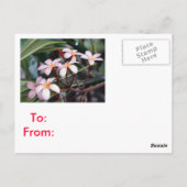 ガールズはがき ポストカード (裏面)