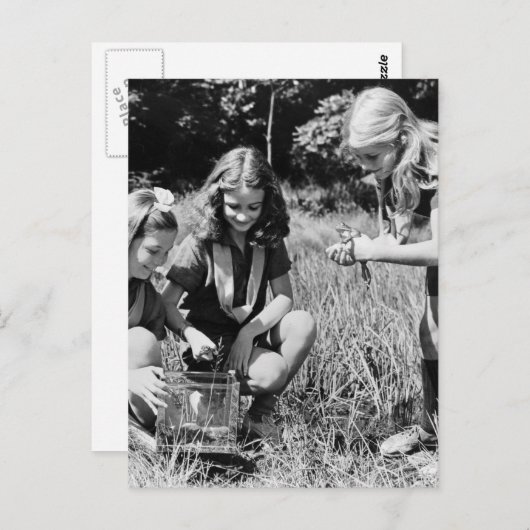 ガールズコレクティングカエル, 1940年代 ポストカード (正面/裏面)