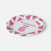 ガールズスイカ誕生日パーティー ペーパープレート (アングル)