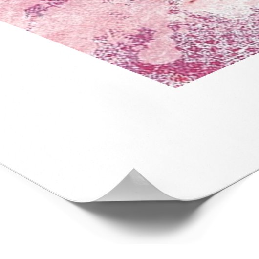 ガールズネームレターDピンクウォーターカラーポスター ポスター (角)