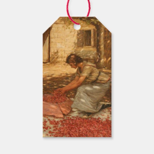 ガールパッキングさくらんぼインProvence （フランス） ギフトタグ (正面)