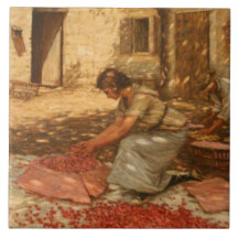 ガールパッキングさくらんぼインProvence （フランス）