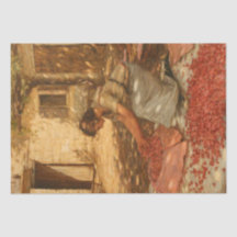 ガールパッキングさくらんぼインProvence （フランス）