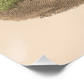 ガールビクトリアンレディースフランスのファッションヴィンテージ ポスター (コーナー)